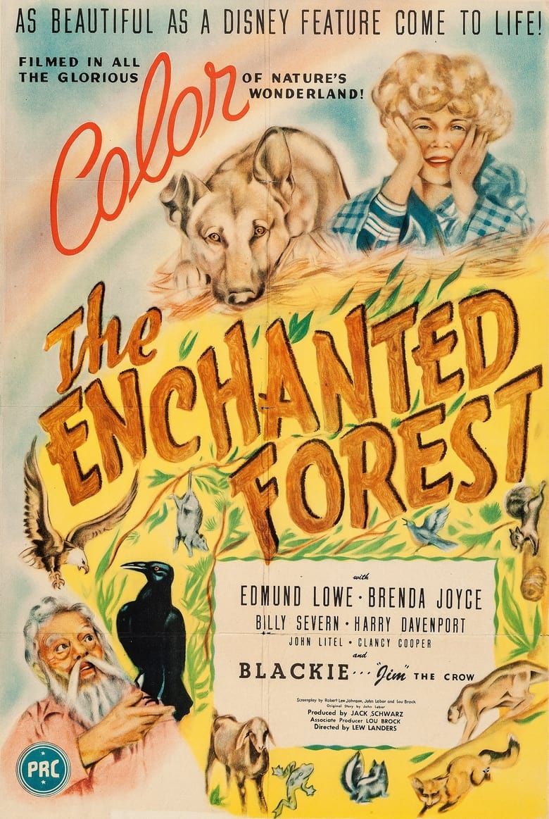 The Enchanted Forest Summary, Latest News, Trailer, Cast, Where to ...