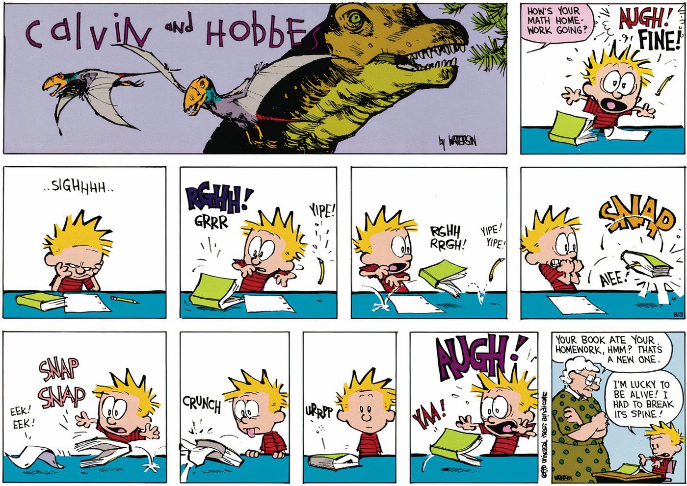 Calvin fingindo ler seu livro de matemática no dever de casa.