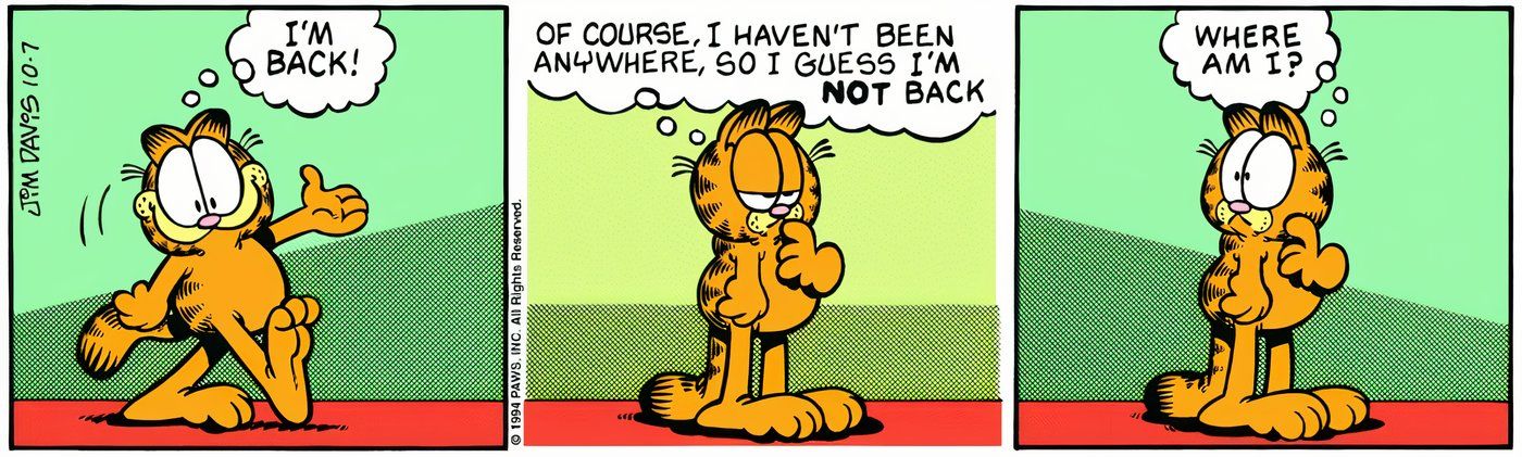 Garfield questioning his own reality while breaking the fourth wall.