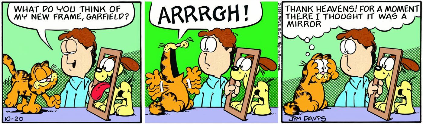 Garfield gritando na cara de Odie, pensando que é seu próprio reflexo. 