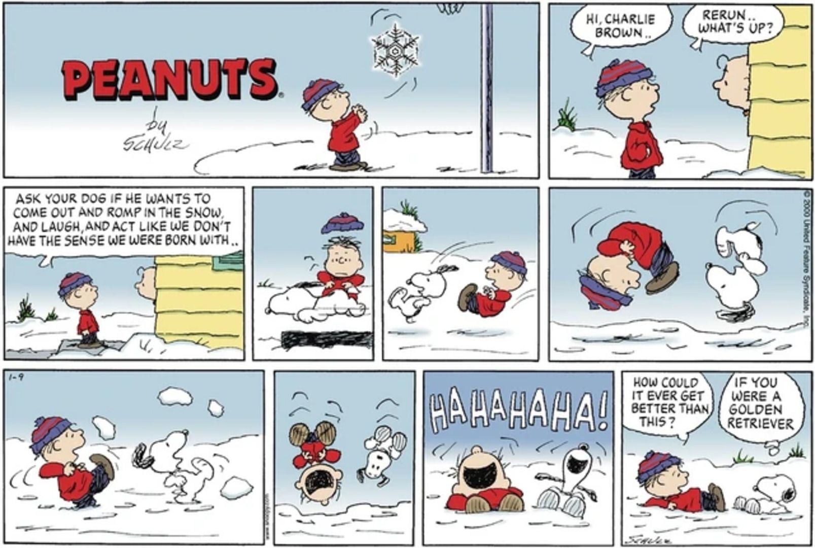 Peanuts strip: Rerun and Snoopy playing in the snow.