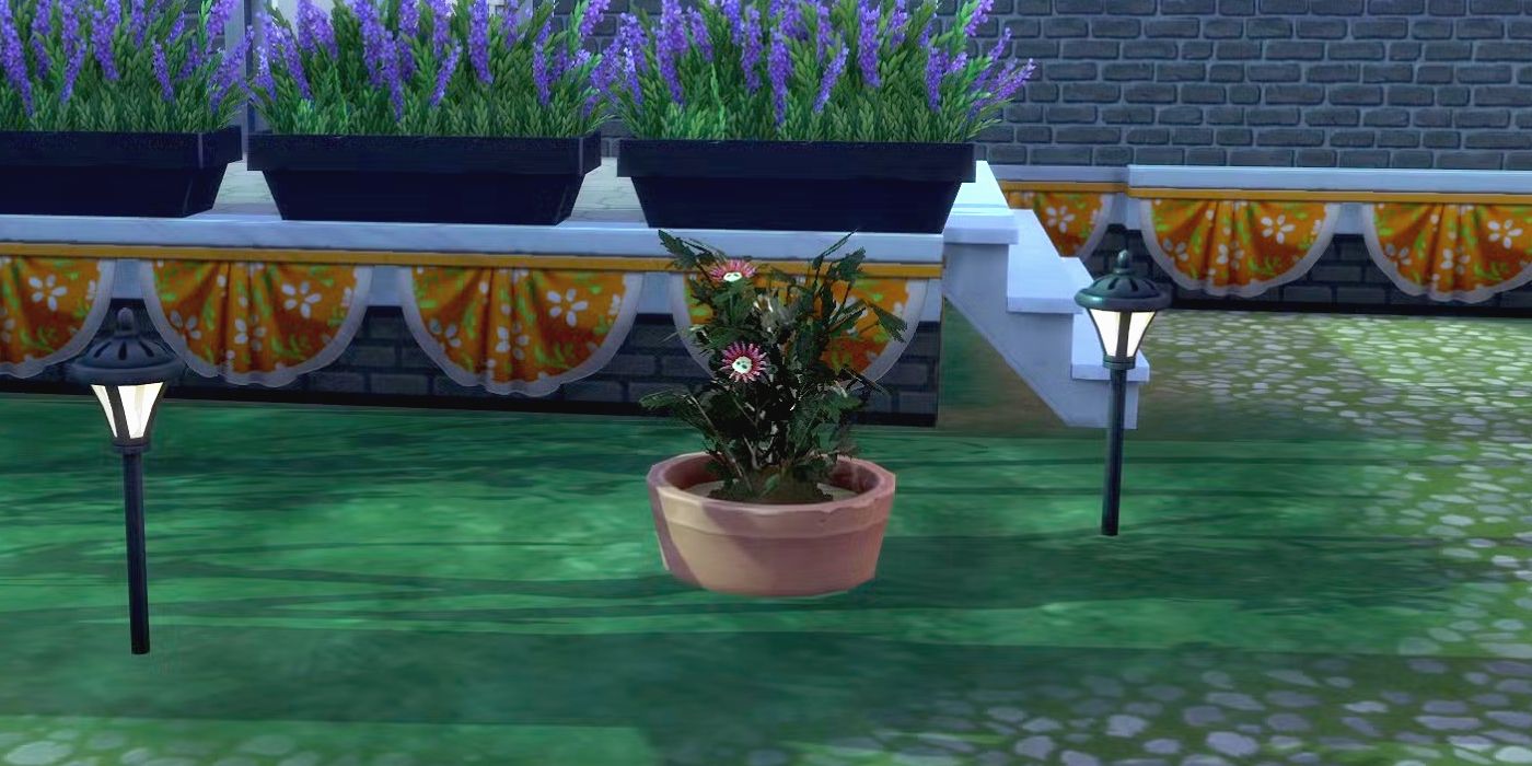 Cómo conseguir flores de la muerte en Los Sims 4