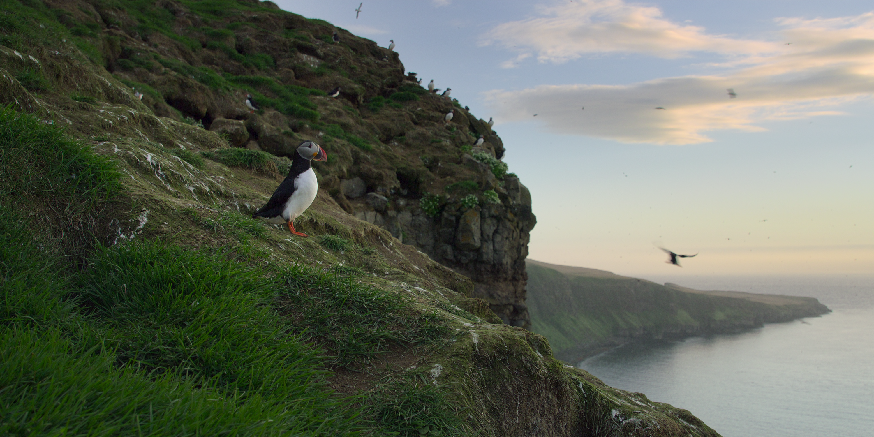 Nuestros cineastas de Oceans responden preguntas candentes sobre la nueva docuserie sobre la naturaleza de Netflix