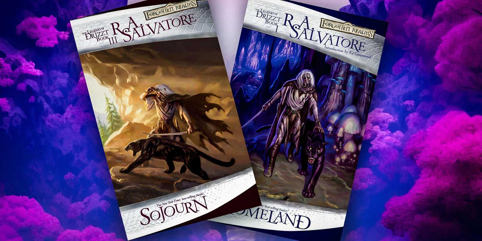 Book covers of The Legend Of Drizzt Books Sojourn and Homeland.