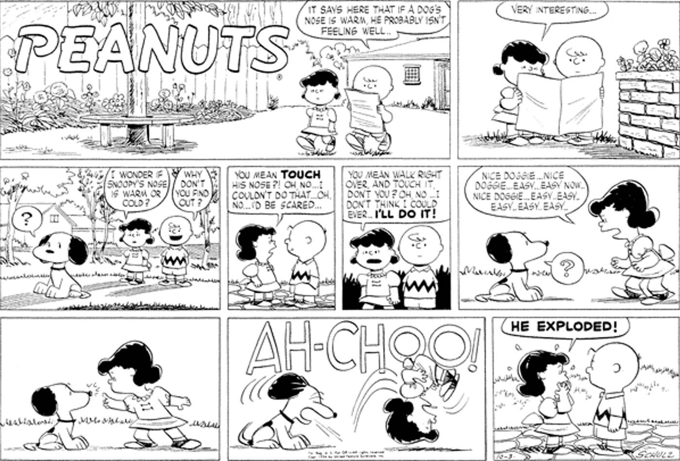 Tira de Peanuts: Charlie Brown y Lucy tocan la nariz de Snoopy.