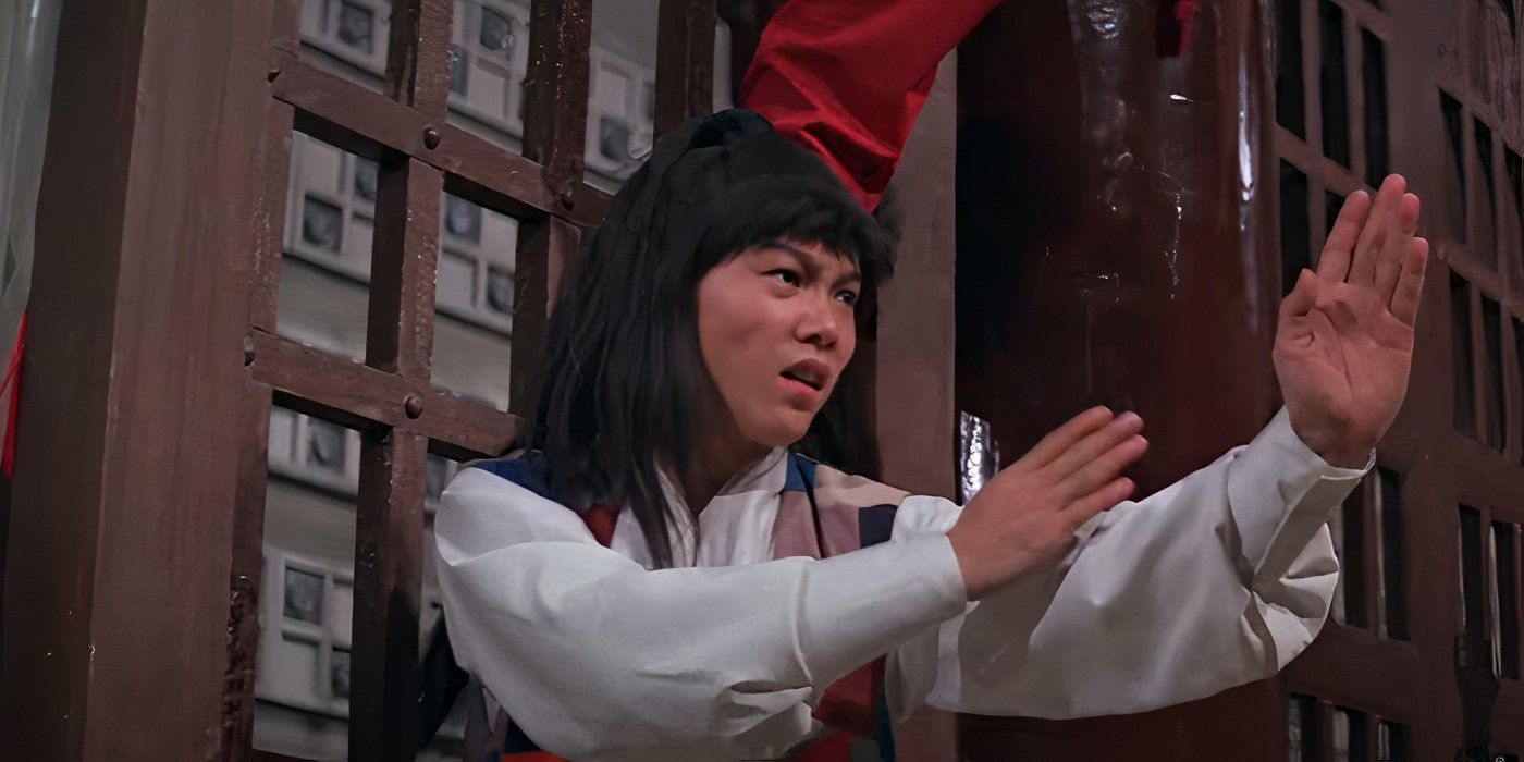 10 Best Martial Arts Movie Performances Of The 1970s