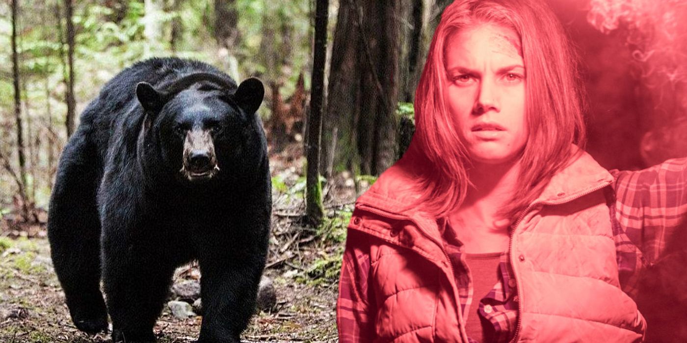 Explicación de la historia real de la película Backcountry: ¿Sucedió realmente el ataque del oso?