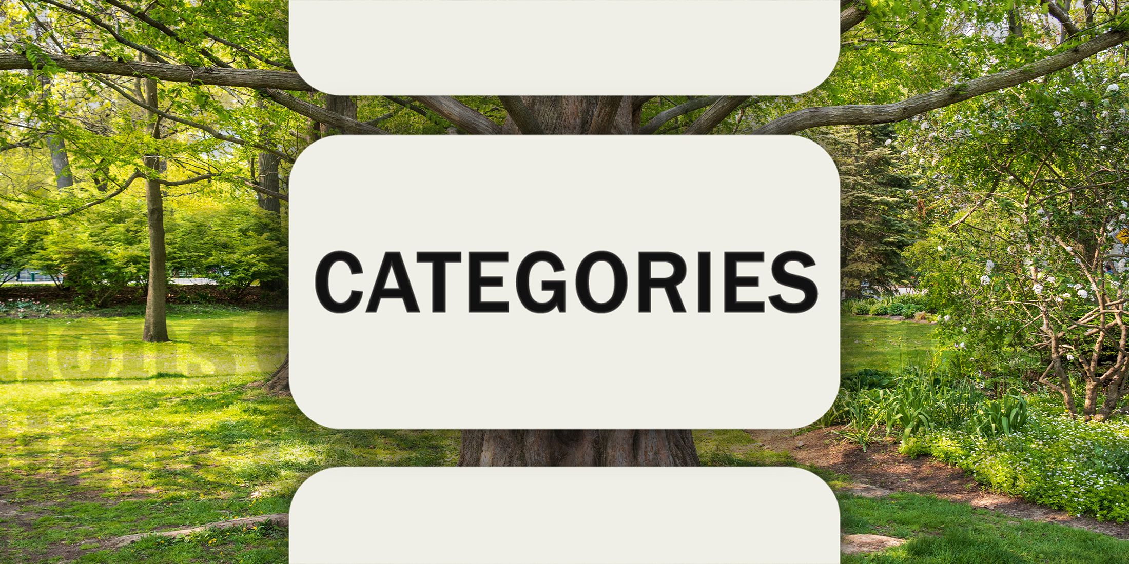 Twisted tree in Connections Categories November 9