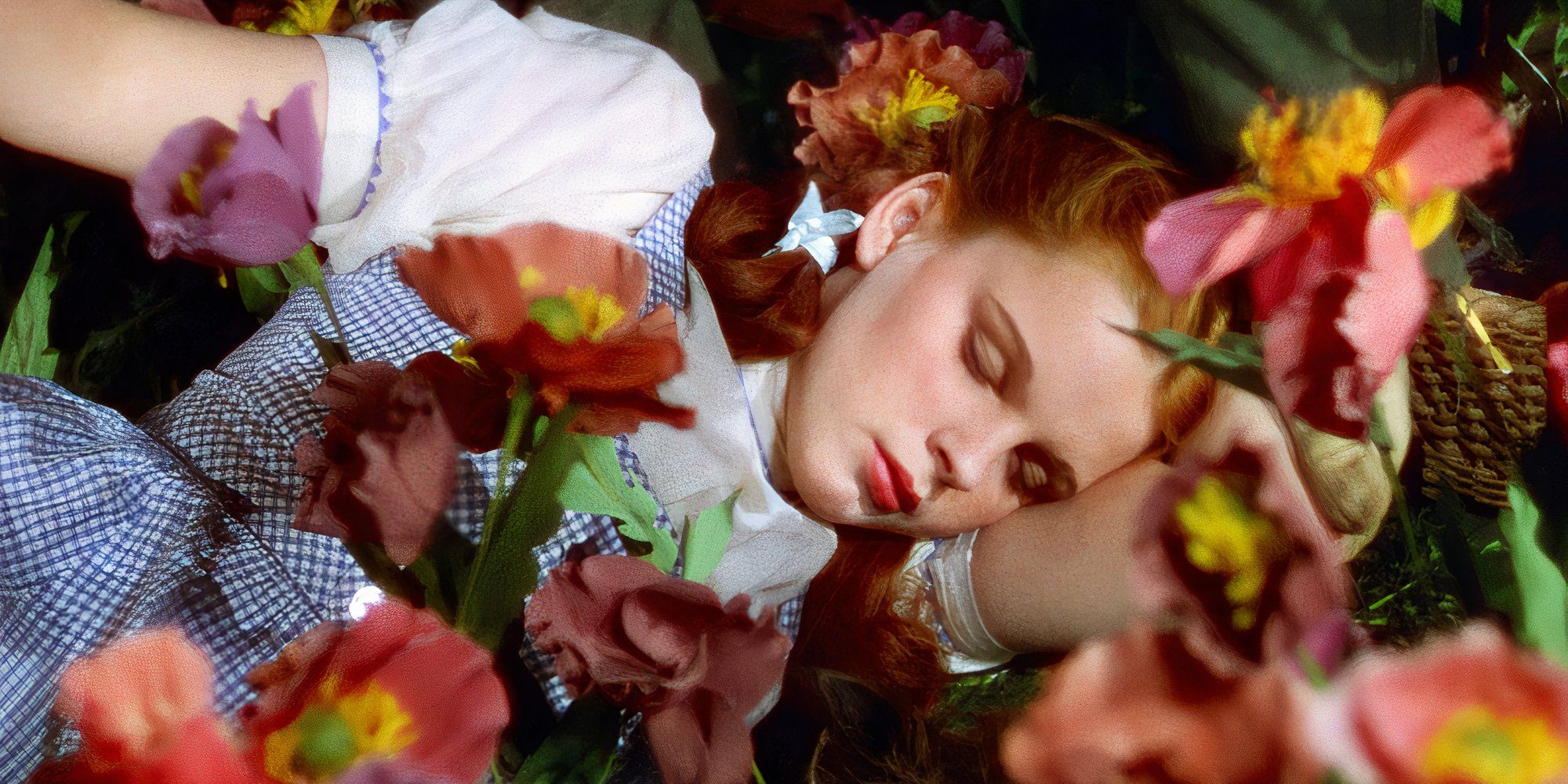 Dorothy sleeping in the Wizard of Oz