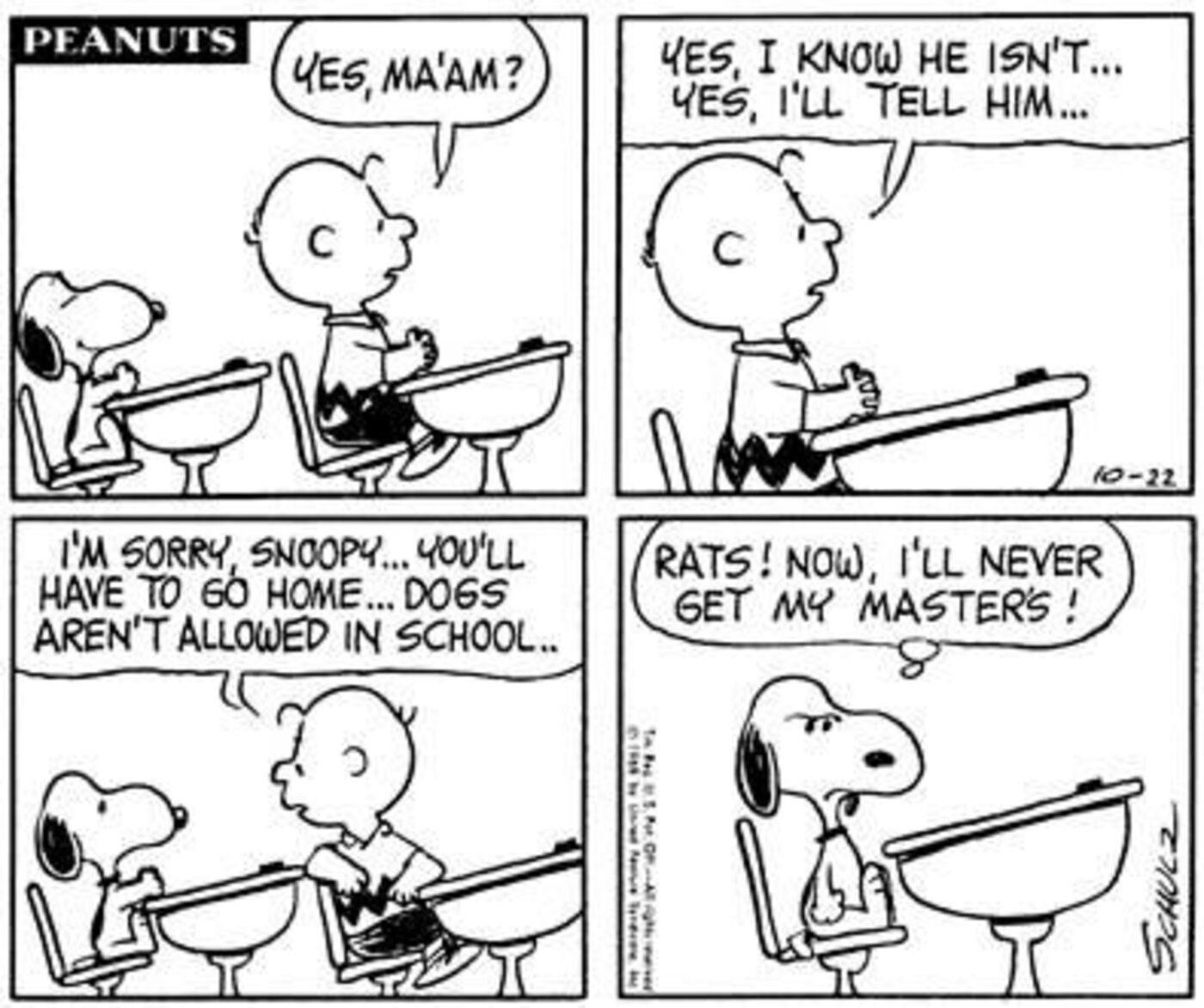 Tira de amendoim: Snoopy sentado atrás de Charlie Brown na aula.