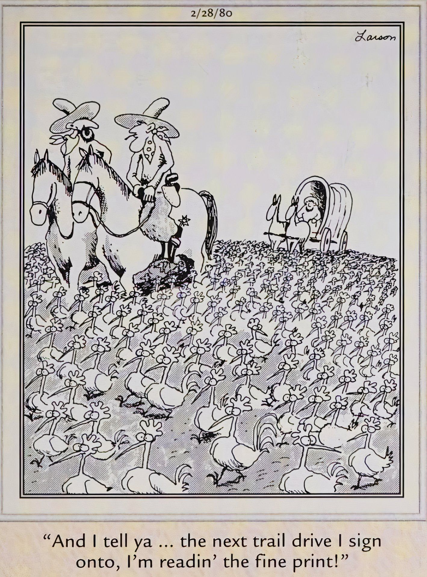 Far Side, 28 de fevereiro de 1980, ladrões de gado pastoreiam galinhas em vez de vacas