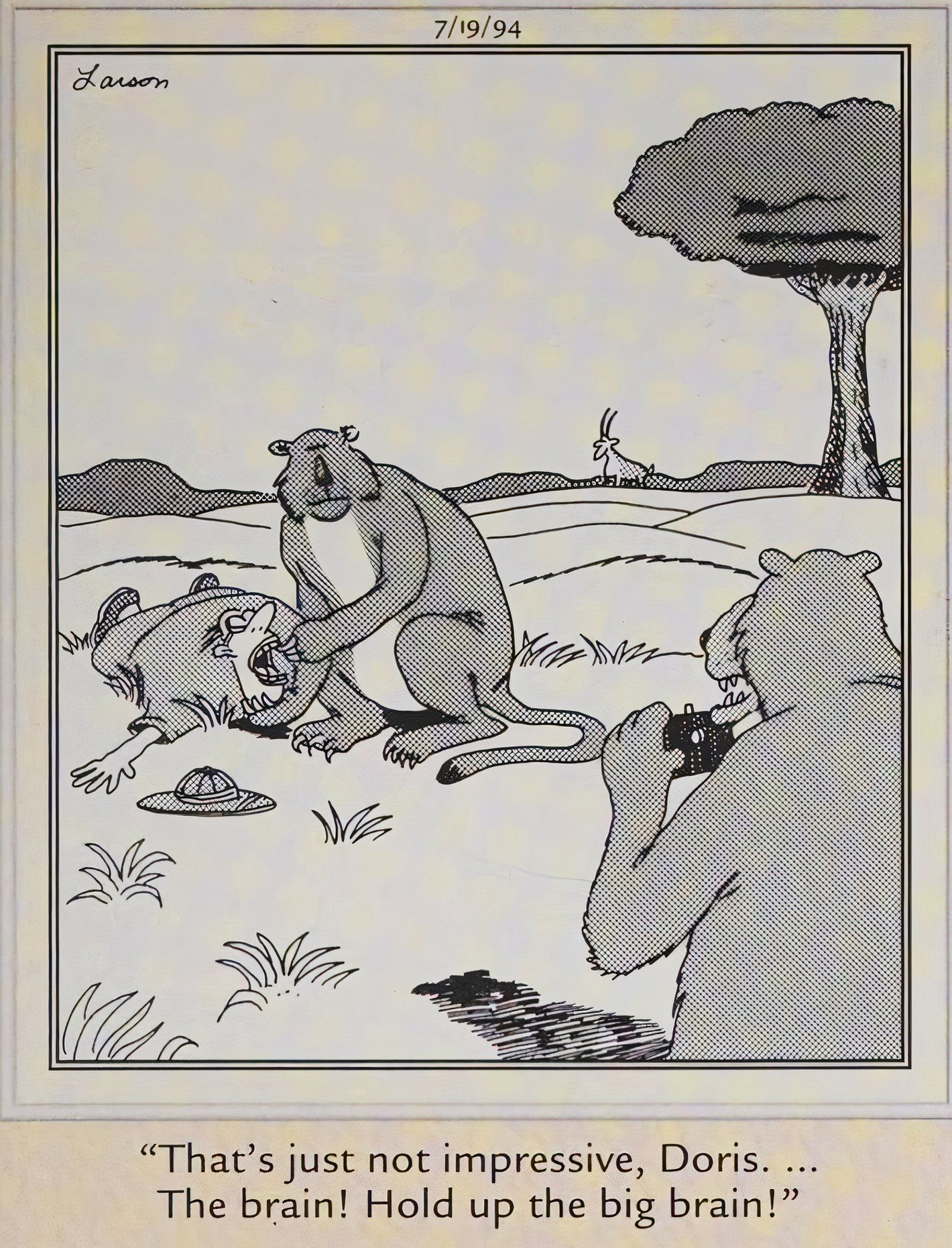 Far Side, July 19, 1994, a cheetah poses for a photo with a man it has killed