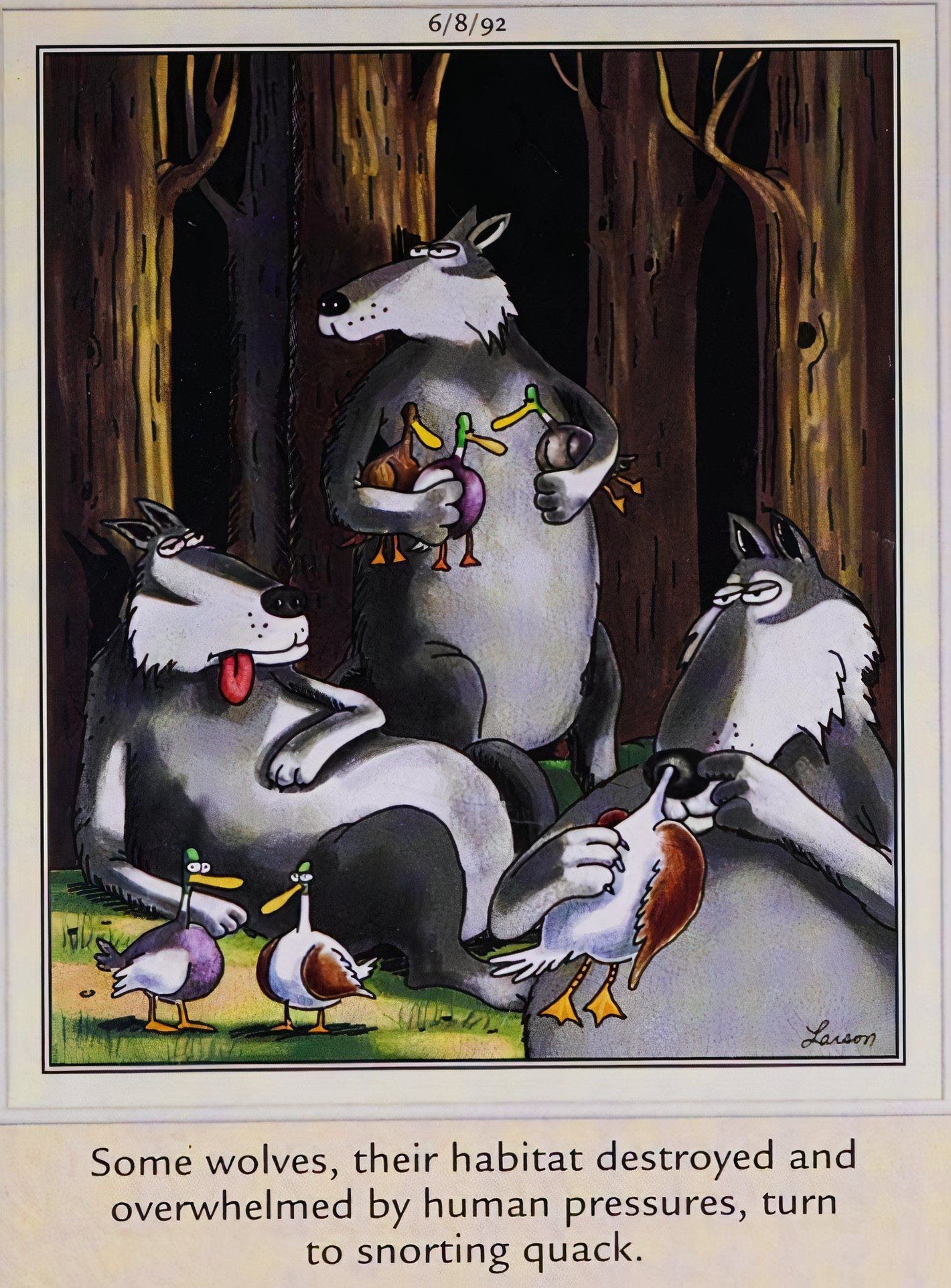 Far Side, 8 de junho de 1992, lobos bufando 'quack' enfiando patos nas narinas