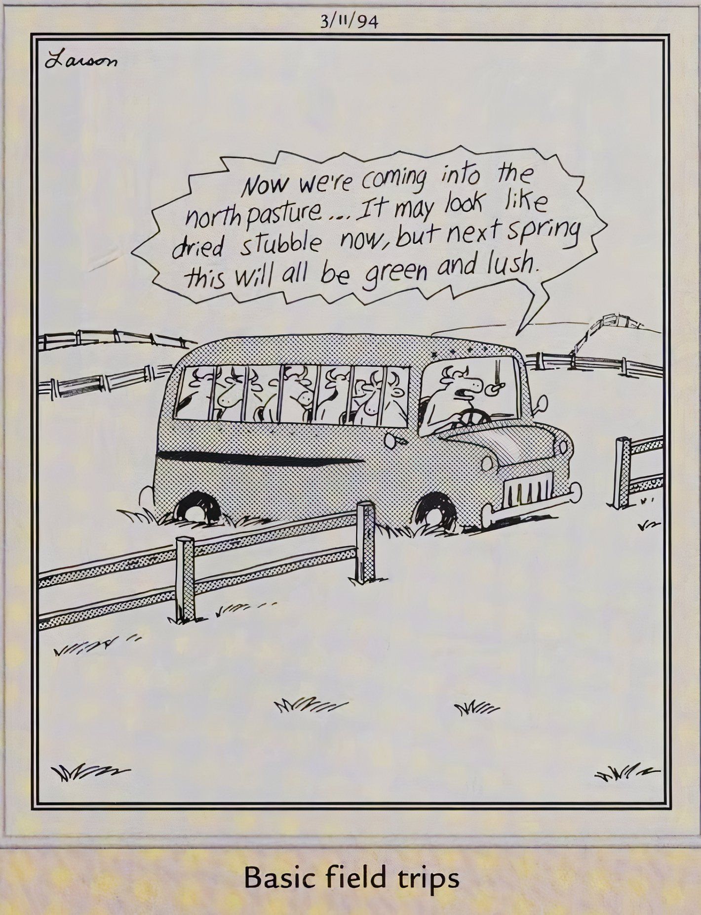 Far Side, March 11, 1994, a school bus full of cows on a 'basic field trip'