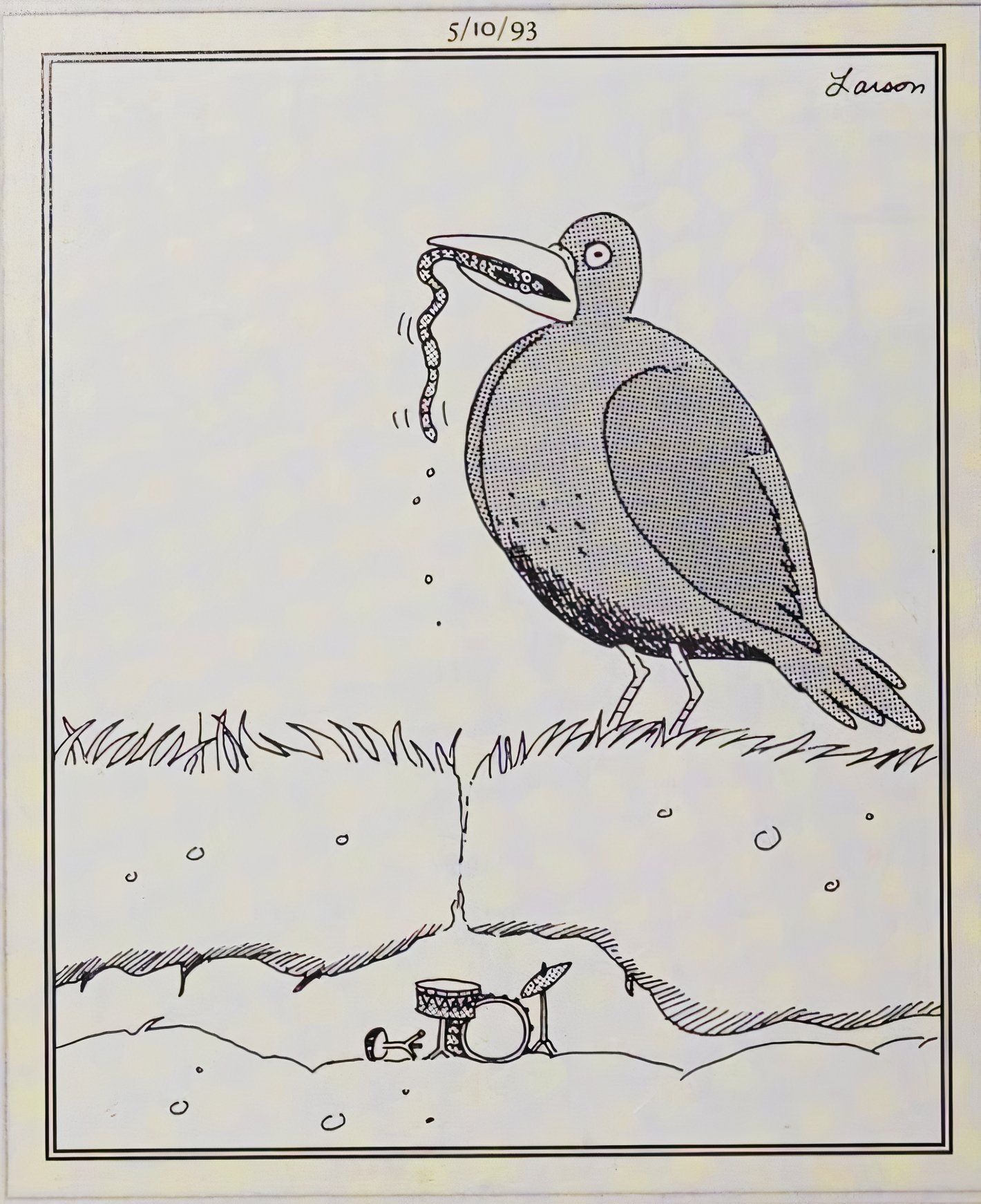 Far Side, May 10, 1993, a bird eats a drum-playing worm