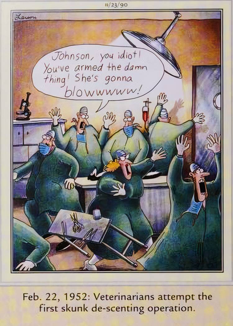 Far Side, November 23, 1990, surgeons accidentally 'arm' a skunk while trying to remove its odor gland