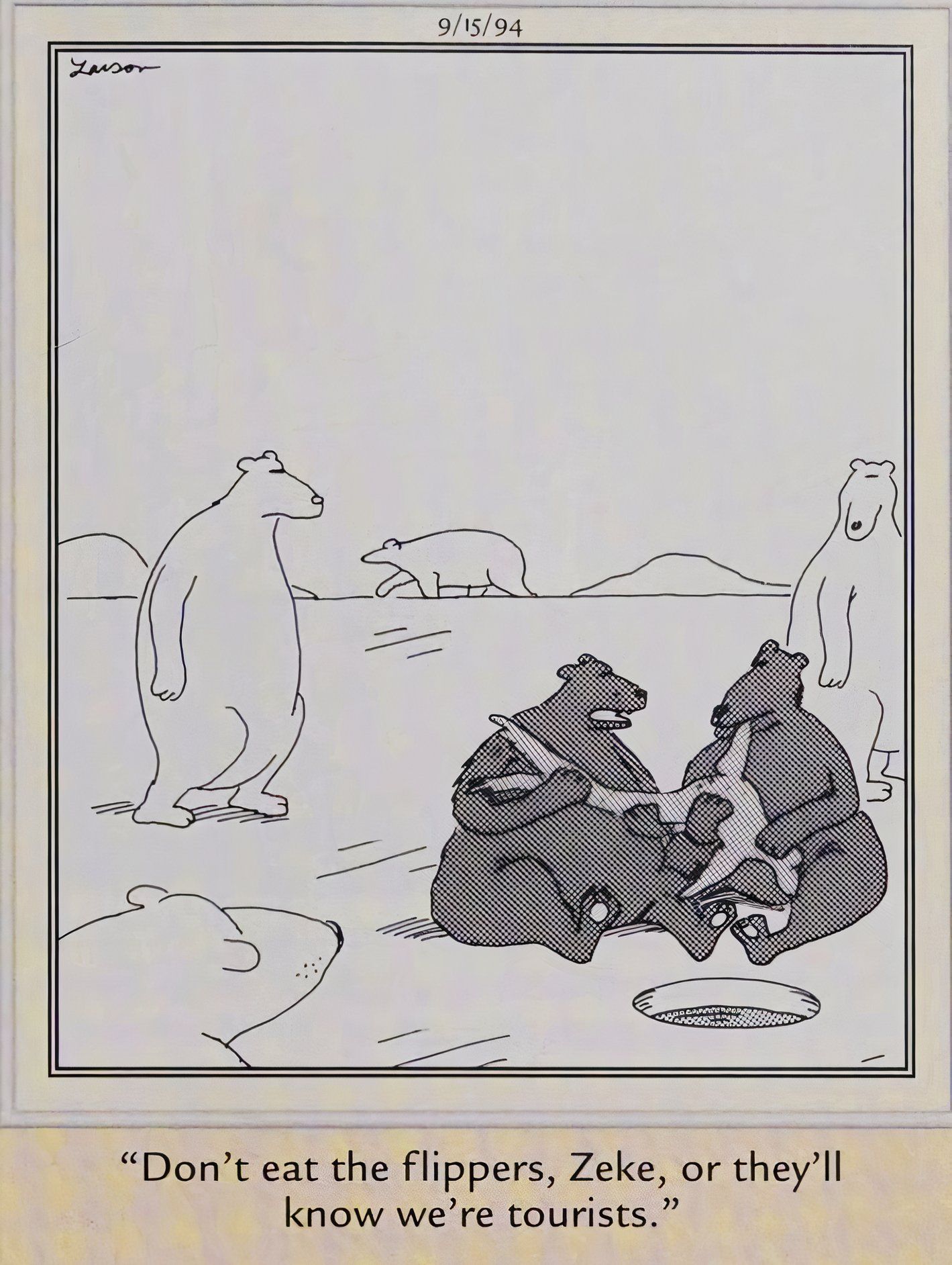 Far Side, September 15, 1994, black bears on vacation are eyed suspiciously by polar bears