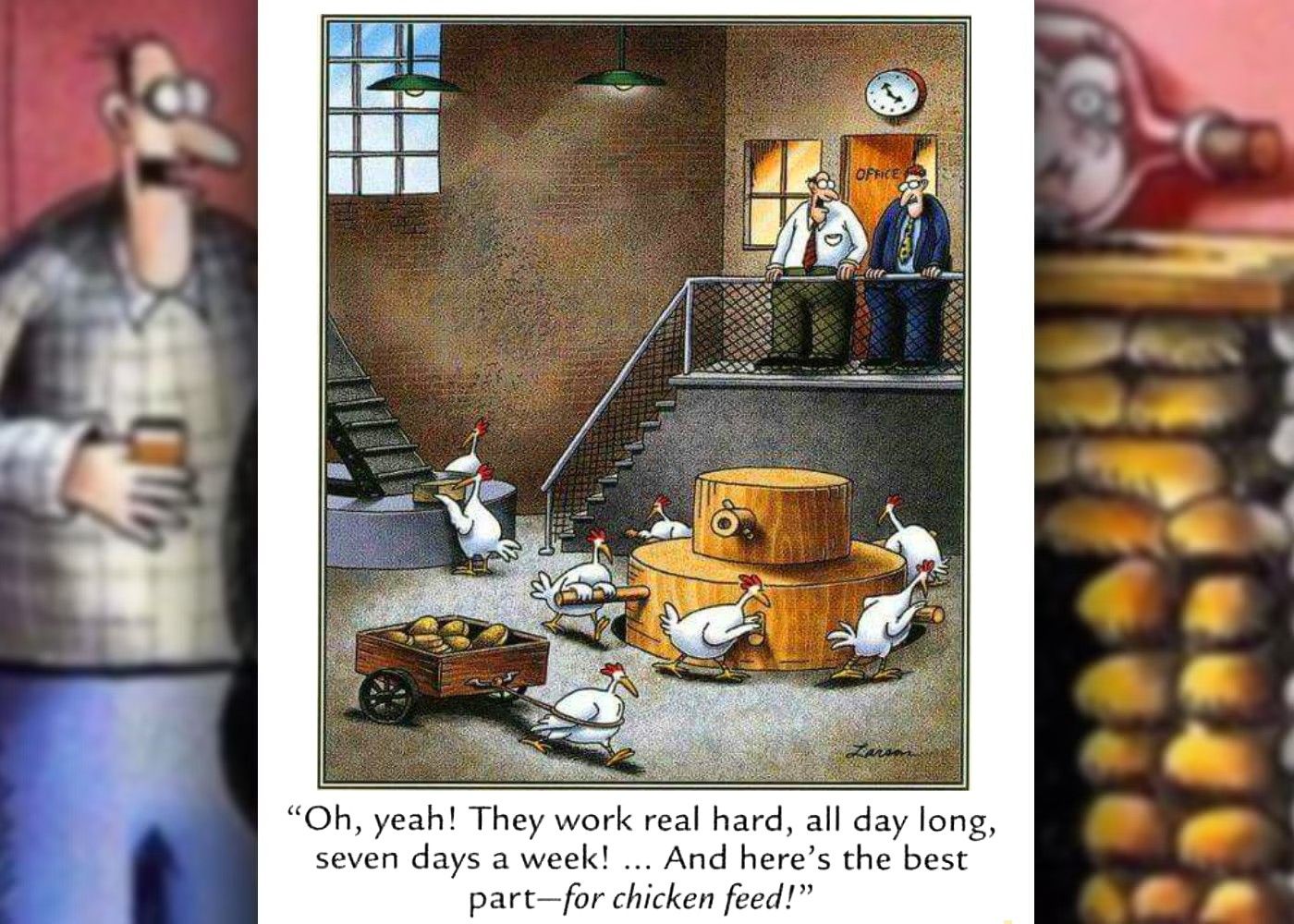 far side work for chicken feed pun