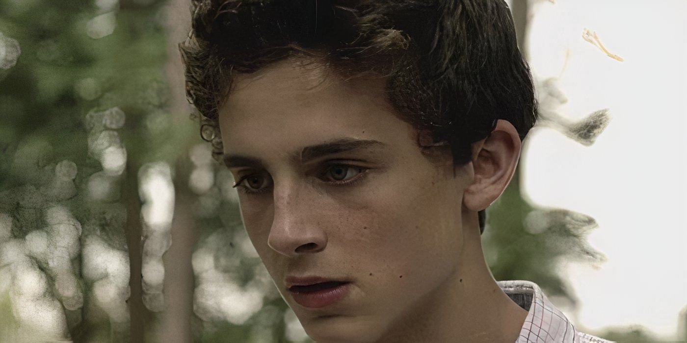 Explicación del personaje de Timothee Chalamet Homeland (y por qué es absolutamente peor)