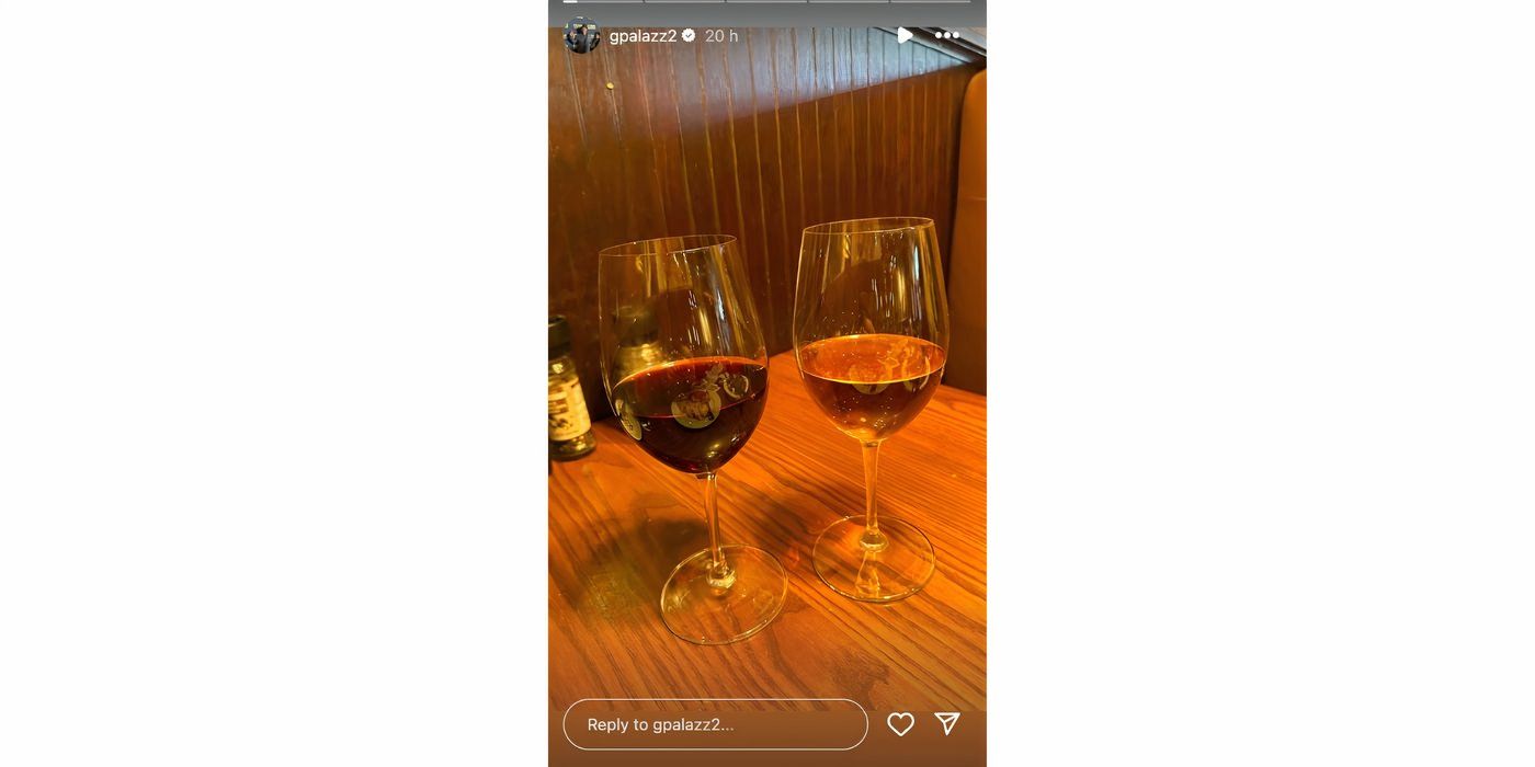 Gino Palazzolo in 90 Day Fiance with wine glasses in story Instagram.