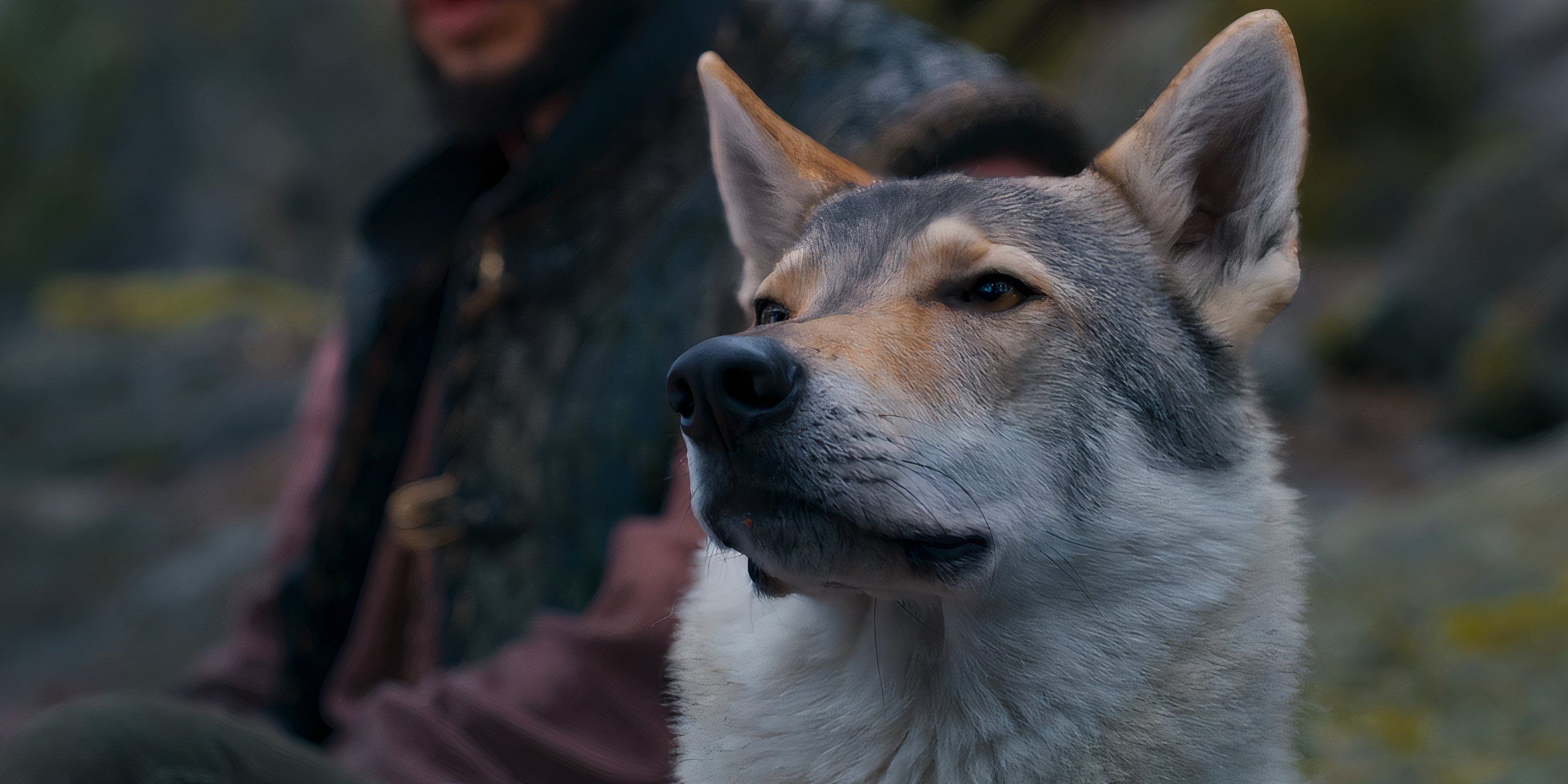 Hopper the wolf does a sniff in The Wheel of Time