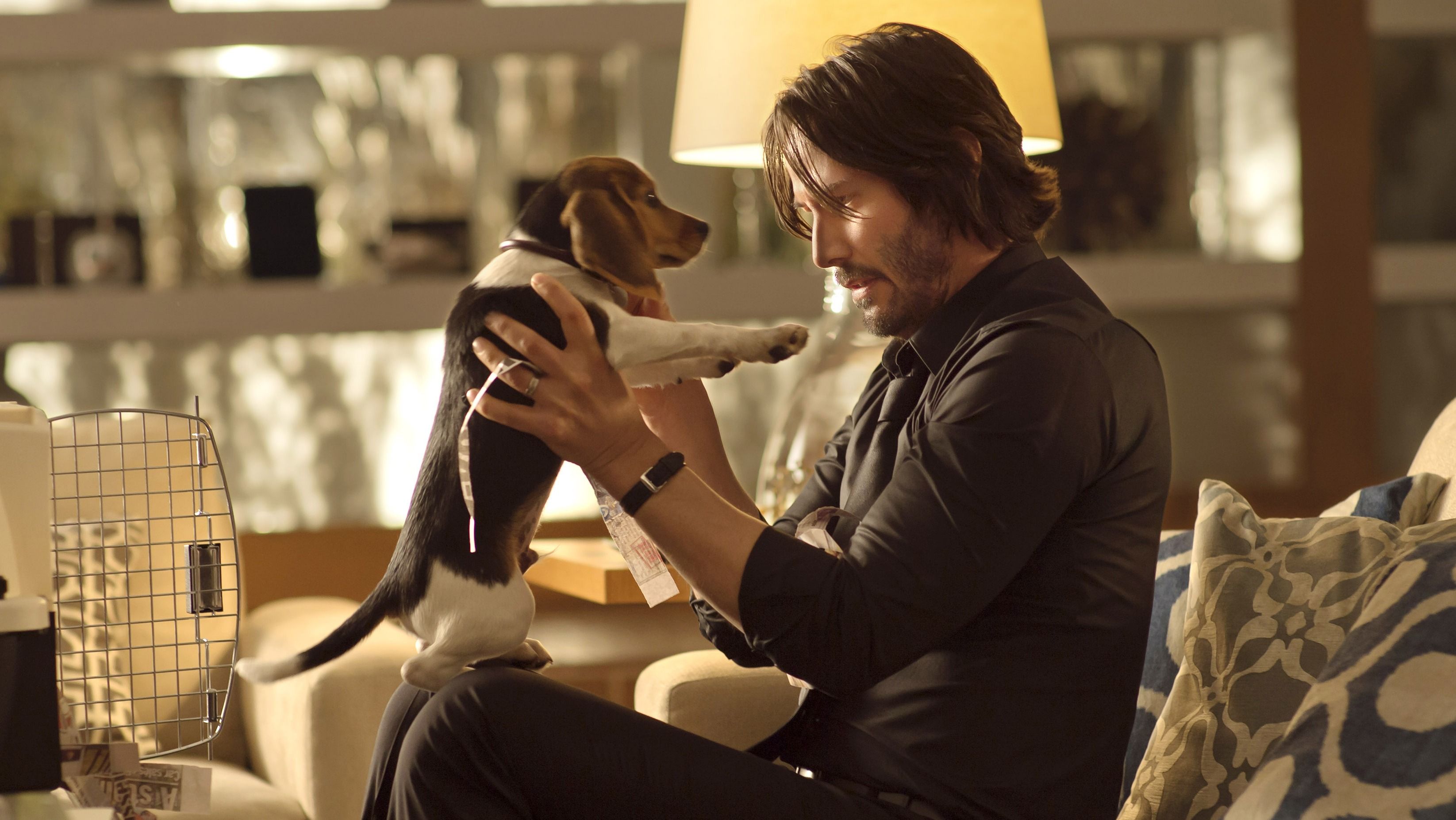 John Wick 1 Movie Keanu Reevs Puppy