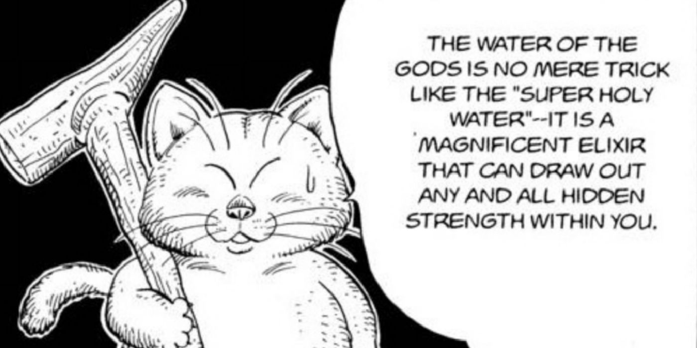 Korin explains the Water of the Gods to Goku in Dragon Ball