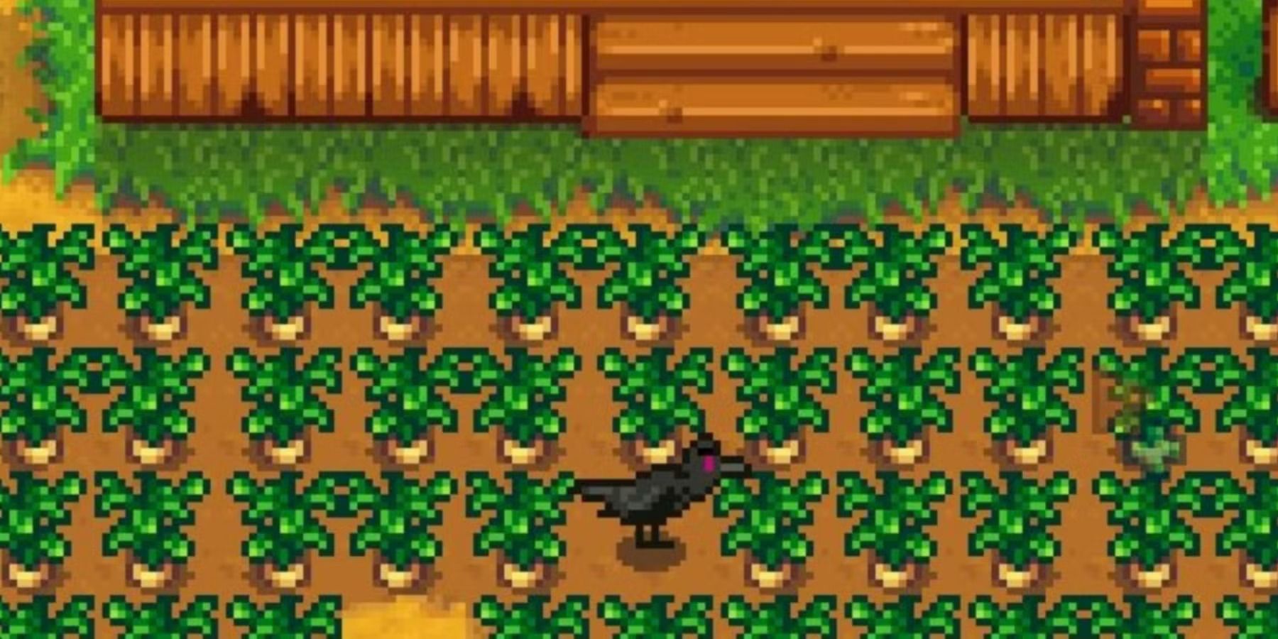 Todos los Rarecrows de Stardew Valley, clasificados por dificultad