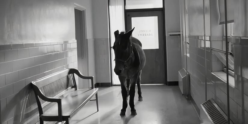 A black-and-white shot of a horse standing in a hallway in Nickel Boys