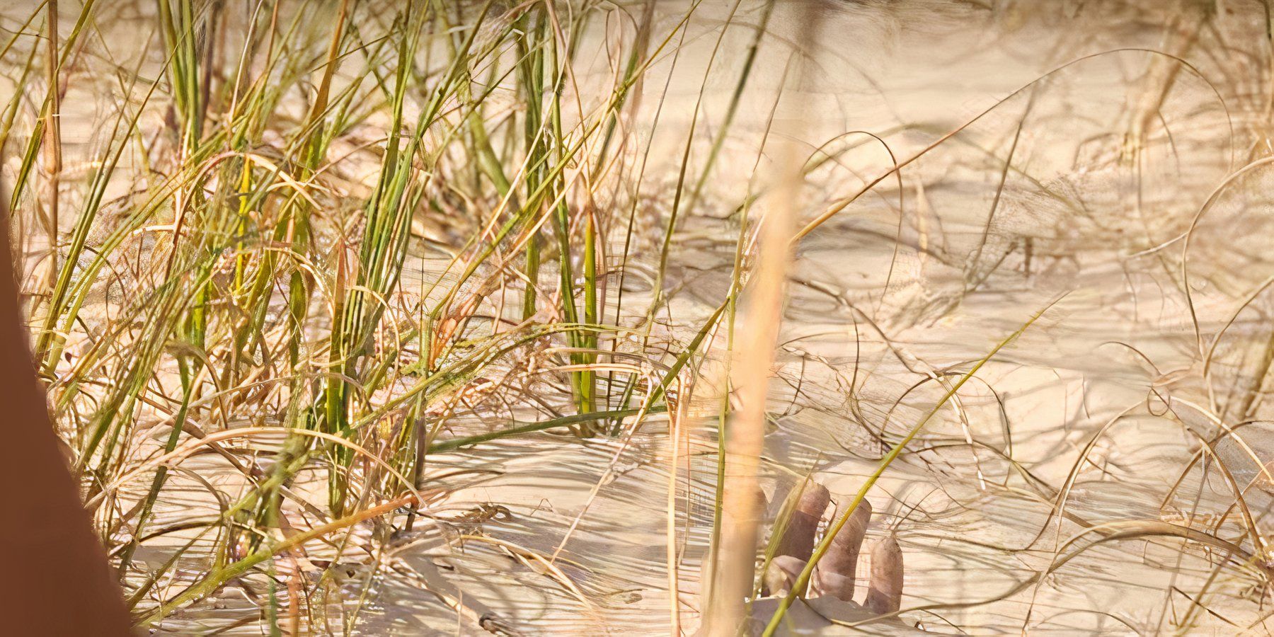 Cada muerte en la temporada 4 de Outer Banks, explicada