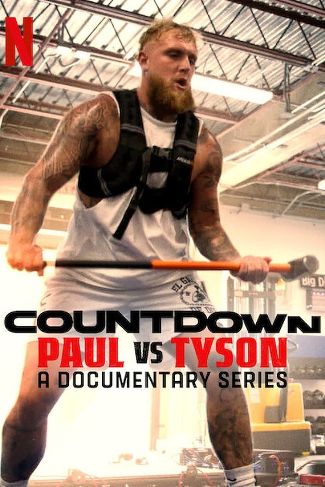 Paul vs. Tyson - Poster