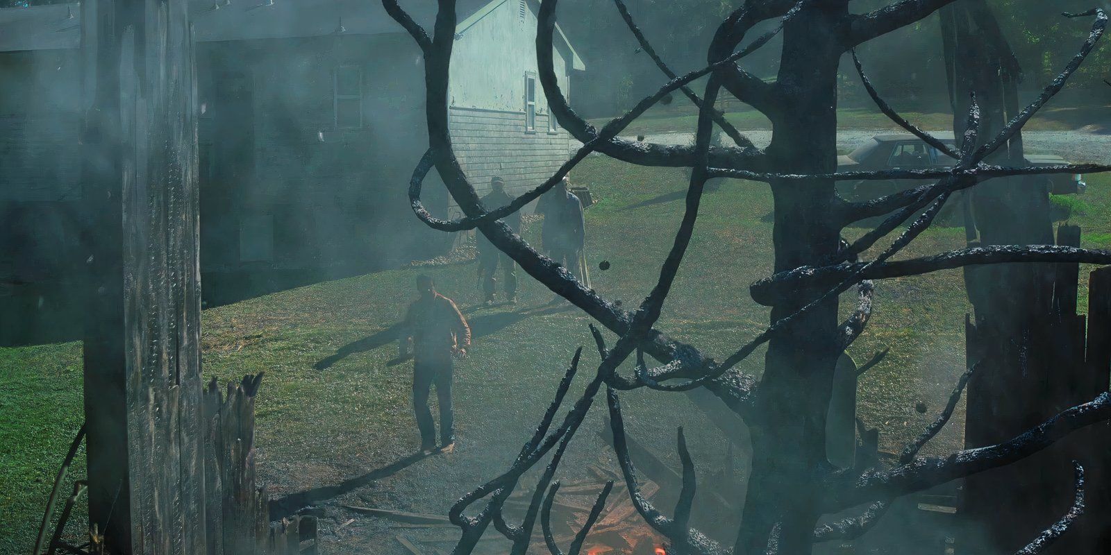 People stand by the tree in Peacock's Teacup