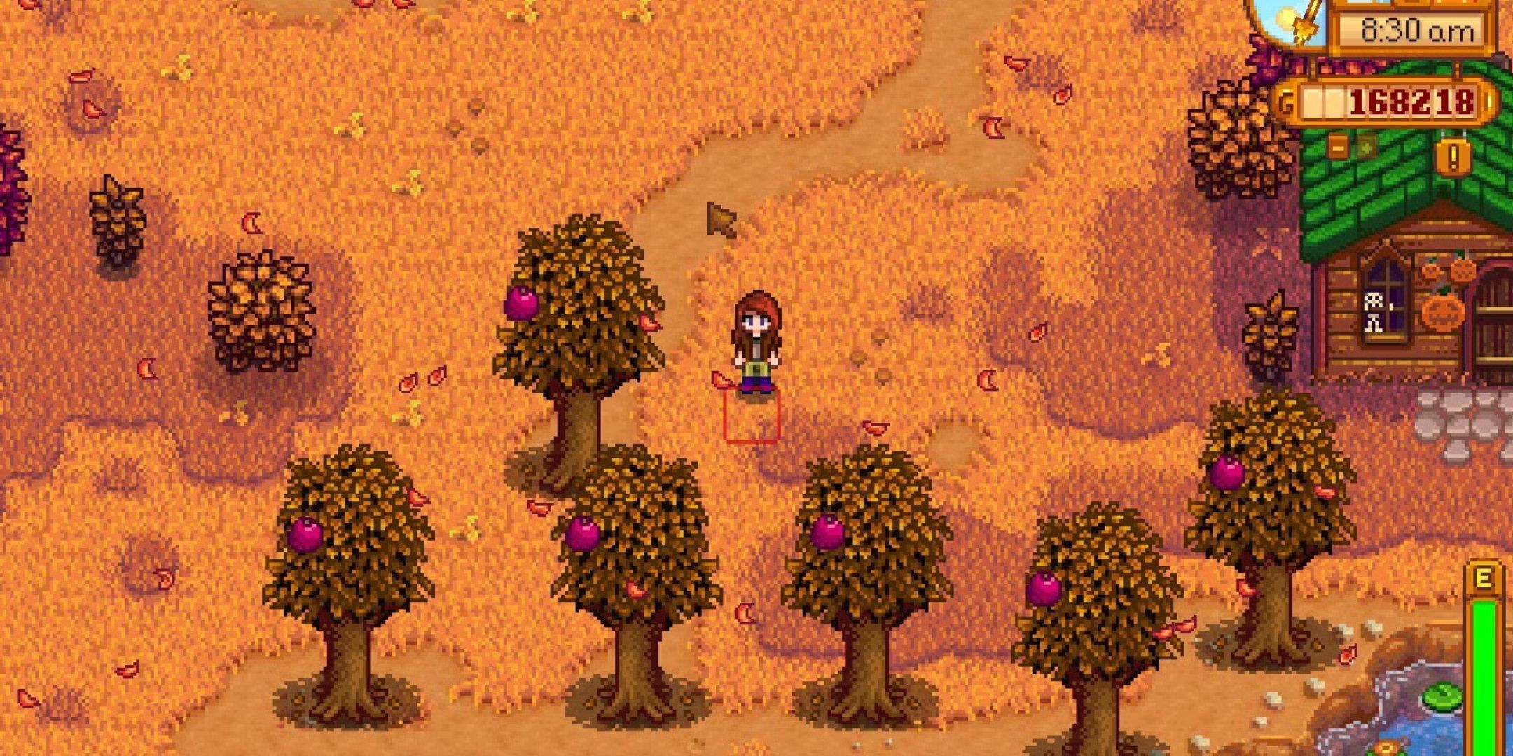 Stardew Valley: The 10 Most Profitable Wines You Should Be Making