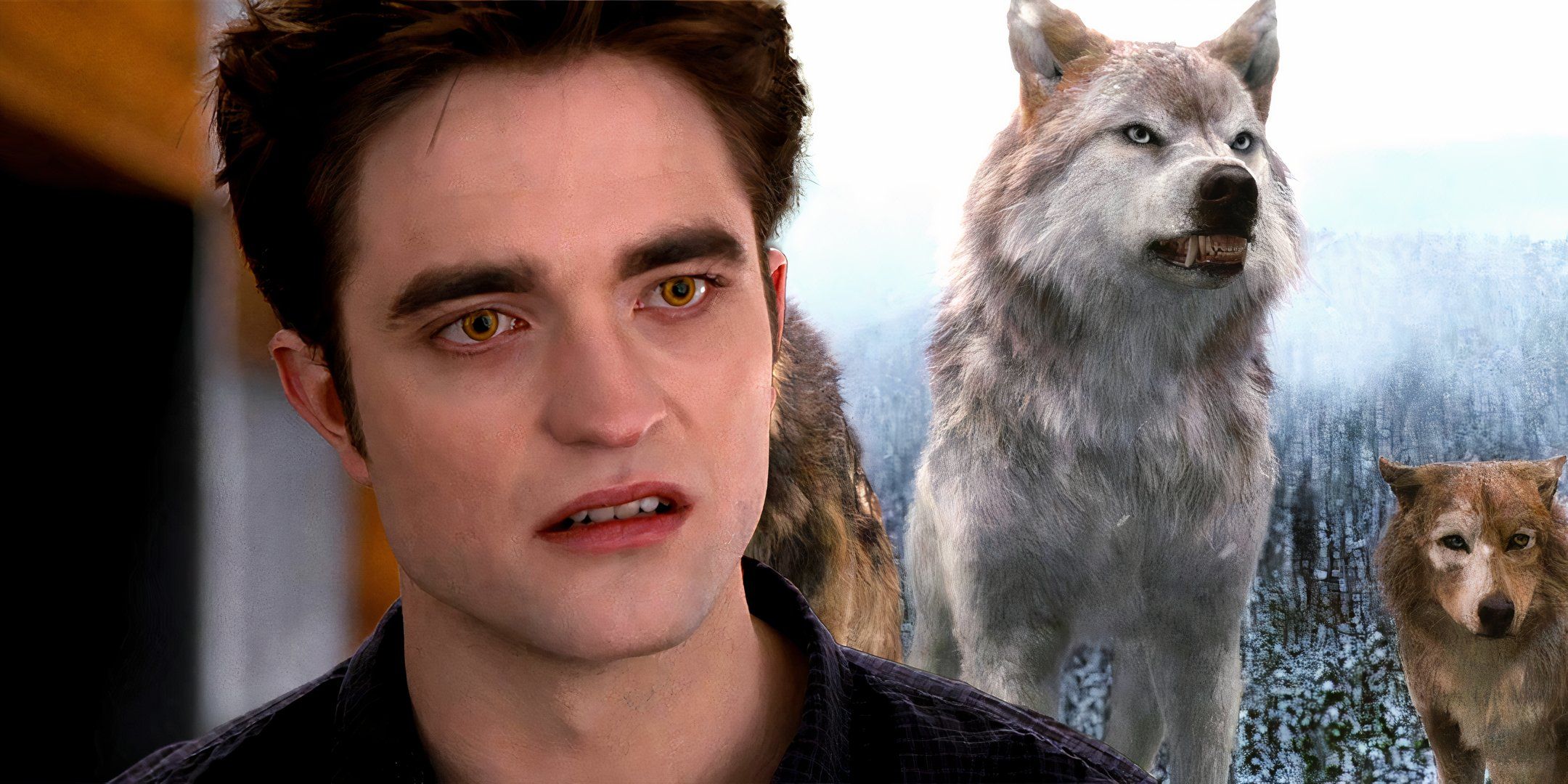 Will you be rewatching the Twilight Saga now that it's on Hulu?