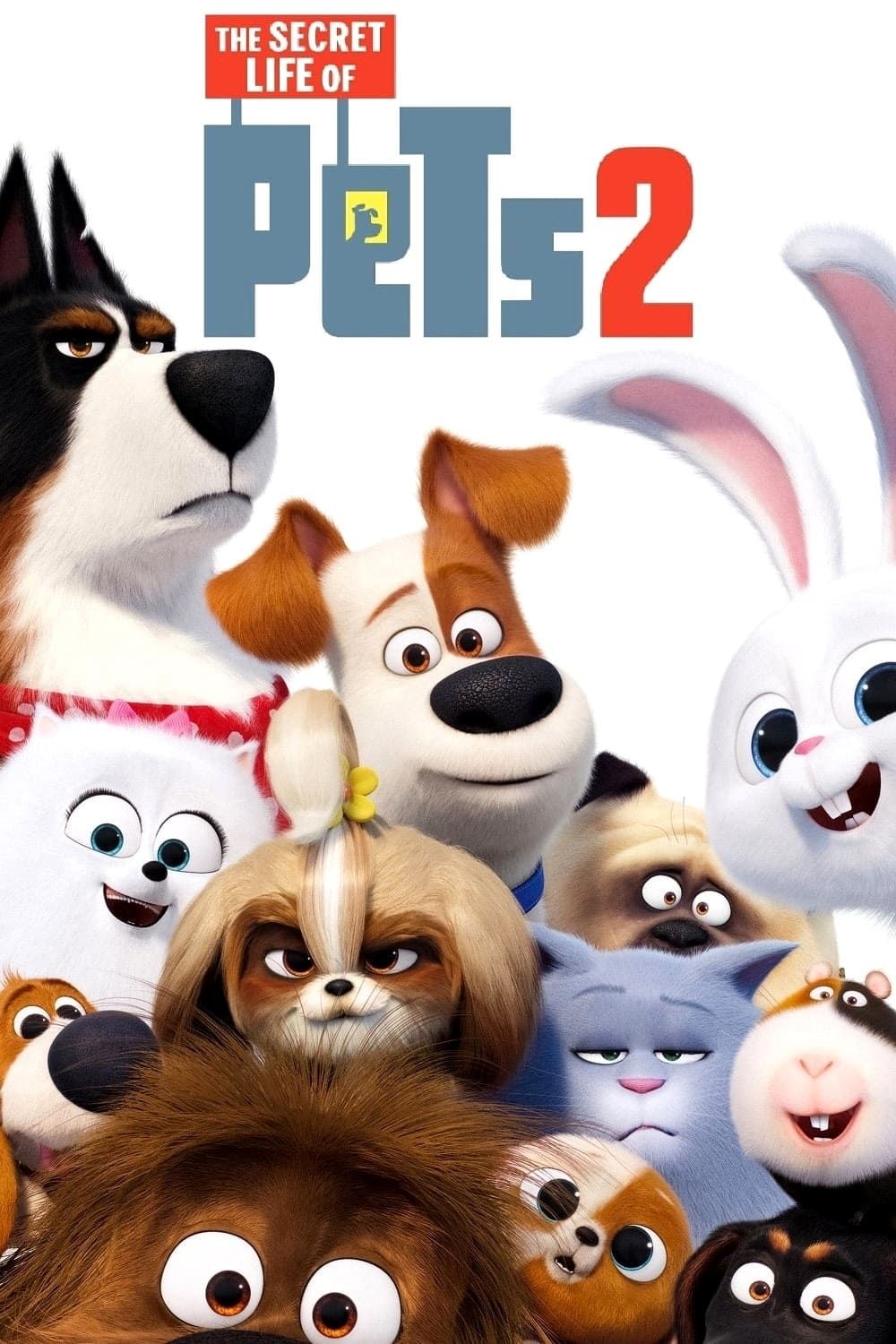 Pets 3 Summary, Latest News, Trailer, Cast, Where to Watch and More