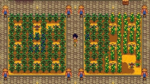 Todos los Rarecrows de Stardew Valley, clasificados por dificultad