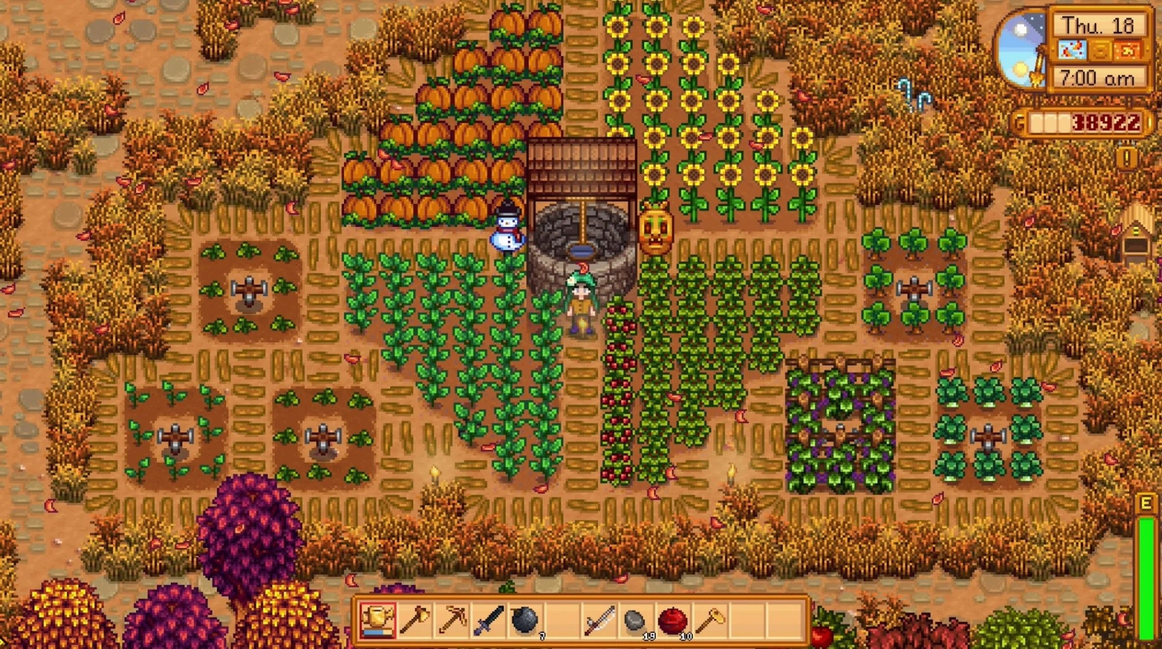 Los jugadores de Stardew Valley que experimenten problemas de rendimiento deben quitarse los sombreros de sus mascotas