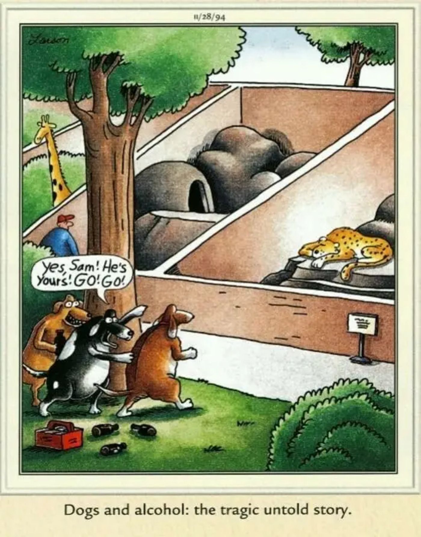 Far Side, 28 de novembro de 1994, cães bêbados entrando furtivamente no recinto de uma chita adormecida no zoológico.