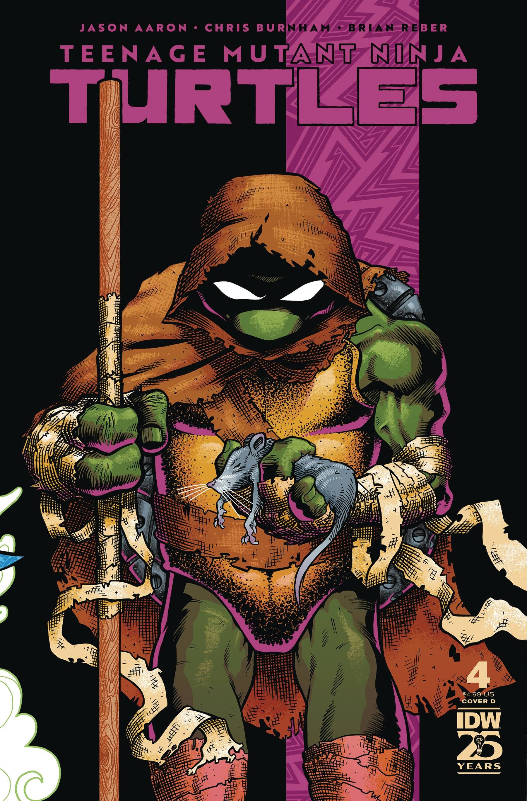 Comic book cover: Donatello looks down in a tattered cloak.