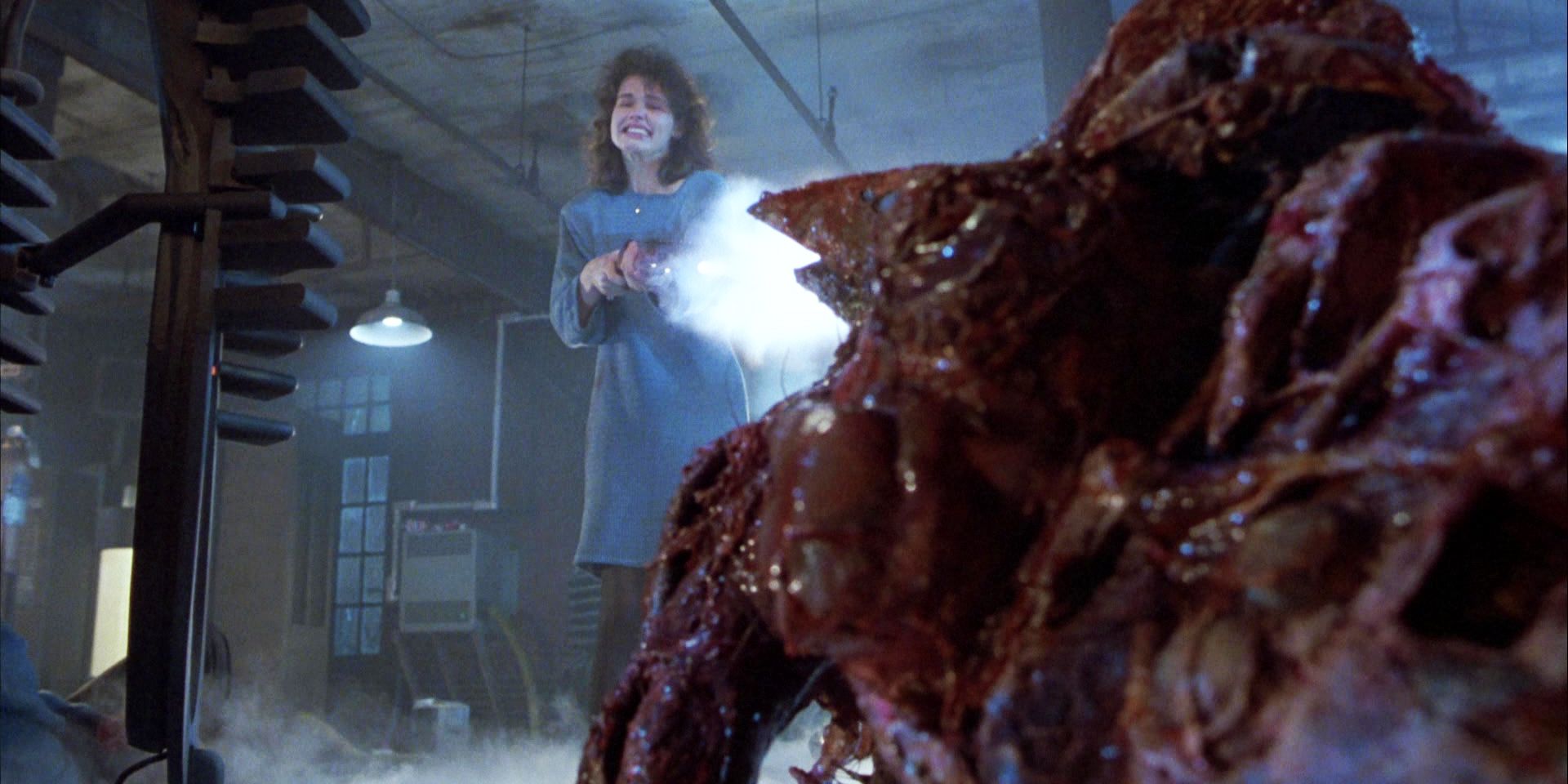 The Fly 1986 ending Ronnie shoots the creature