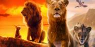 African Lion King Full Watch Mufasa The Lion King At Home
