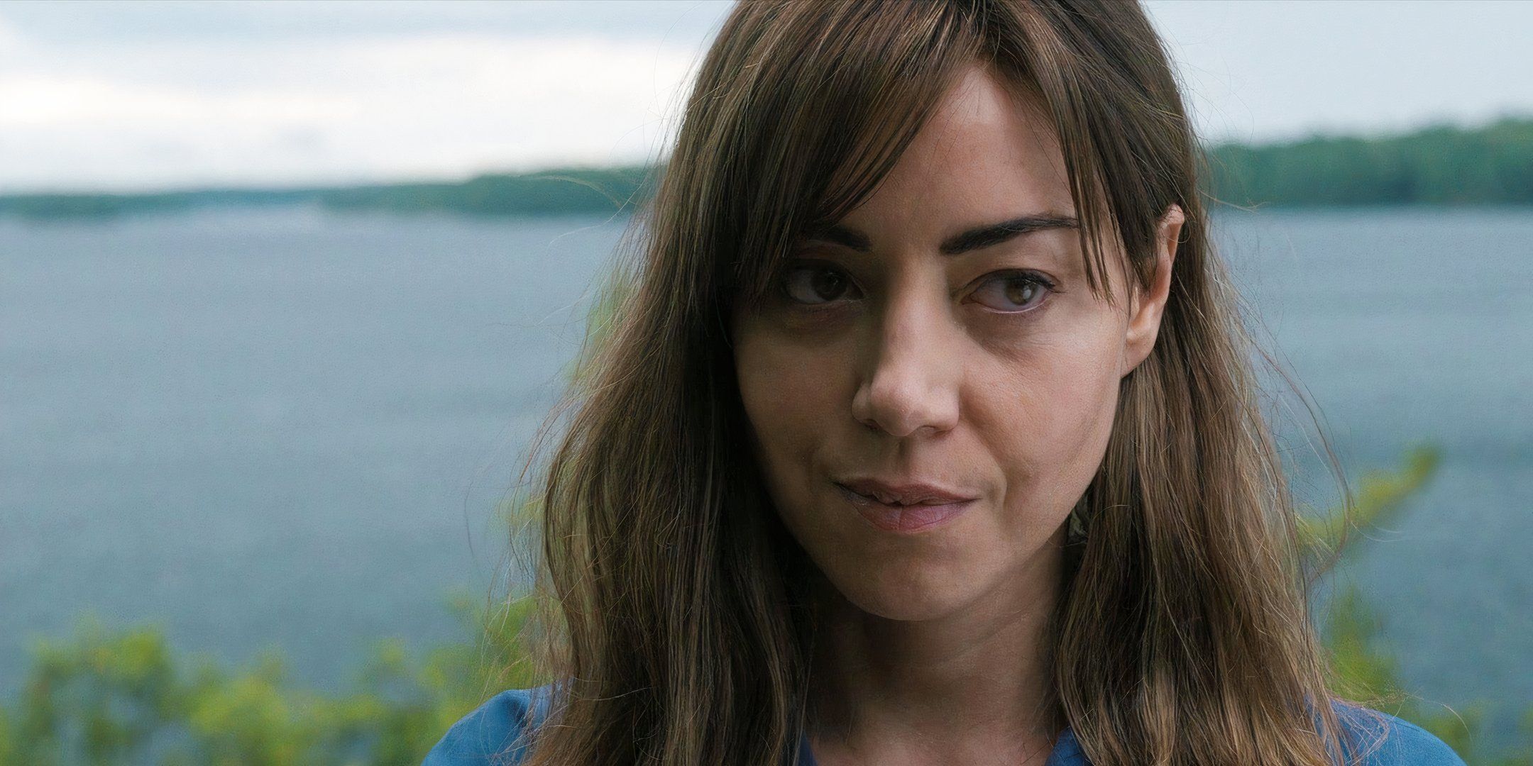 Aubrey Plaza's New Dramedy With 90% RT Score Tops Movie Streaming Chart