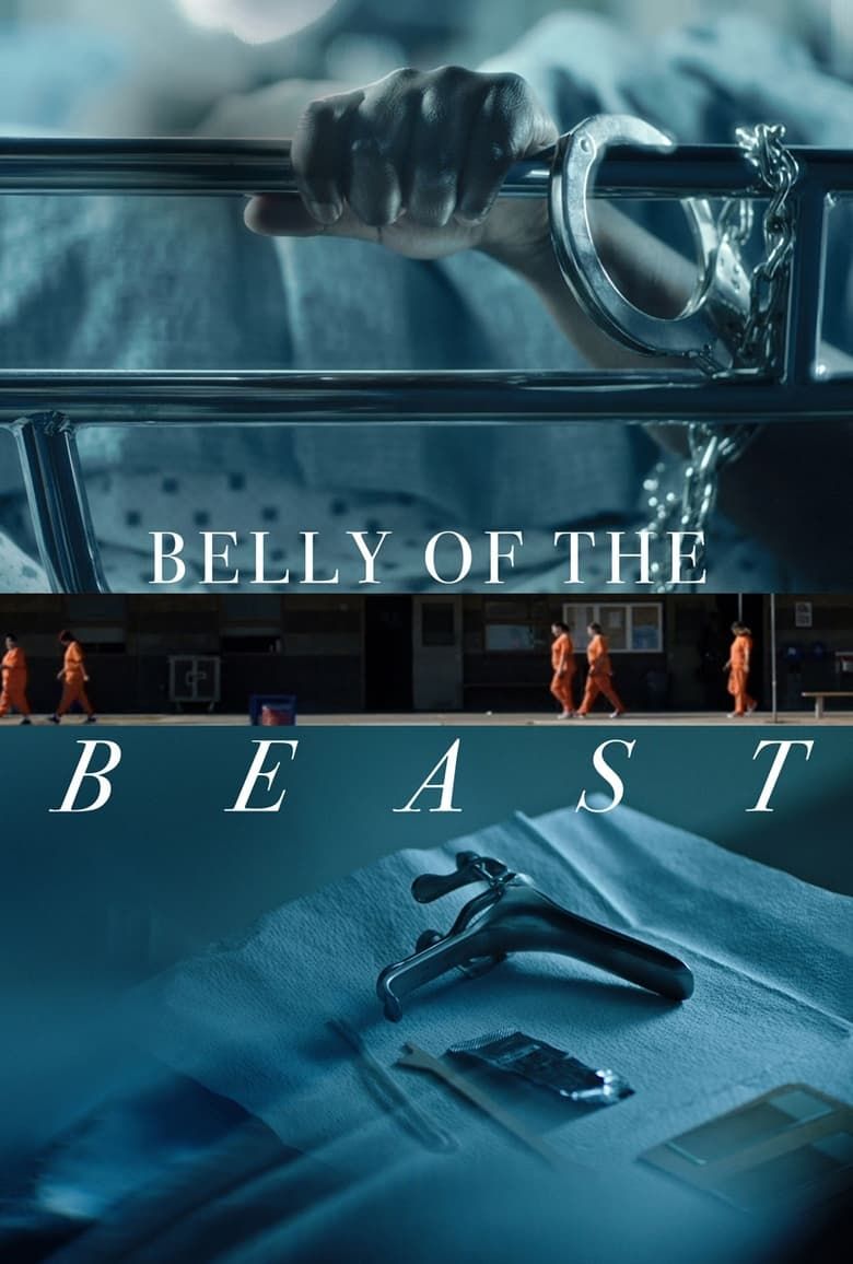 Belly of the Beast Summary, Latest News, Trailer, Cast, Where to Watch ...