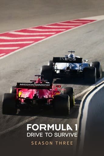 Formula 1: Drive to Survive - Season 3 Summary, Trailer, Cast, and More