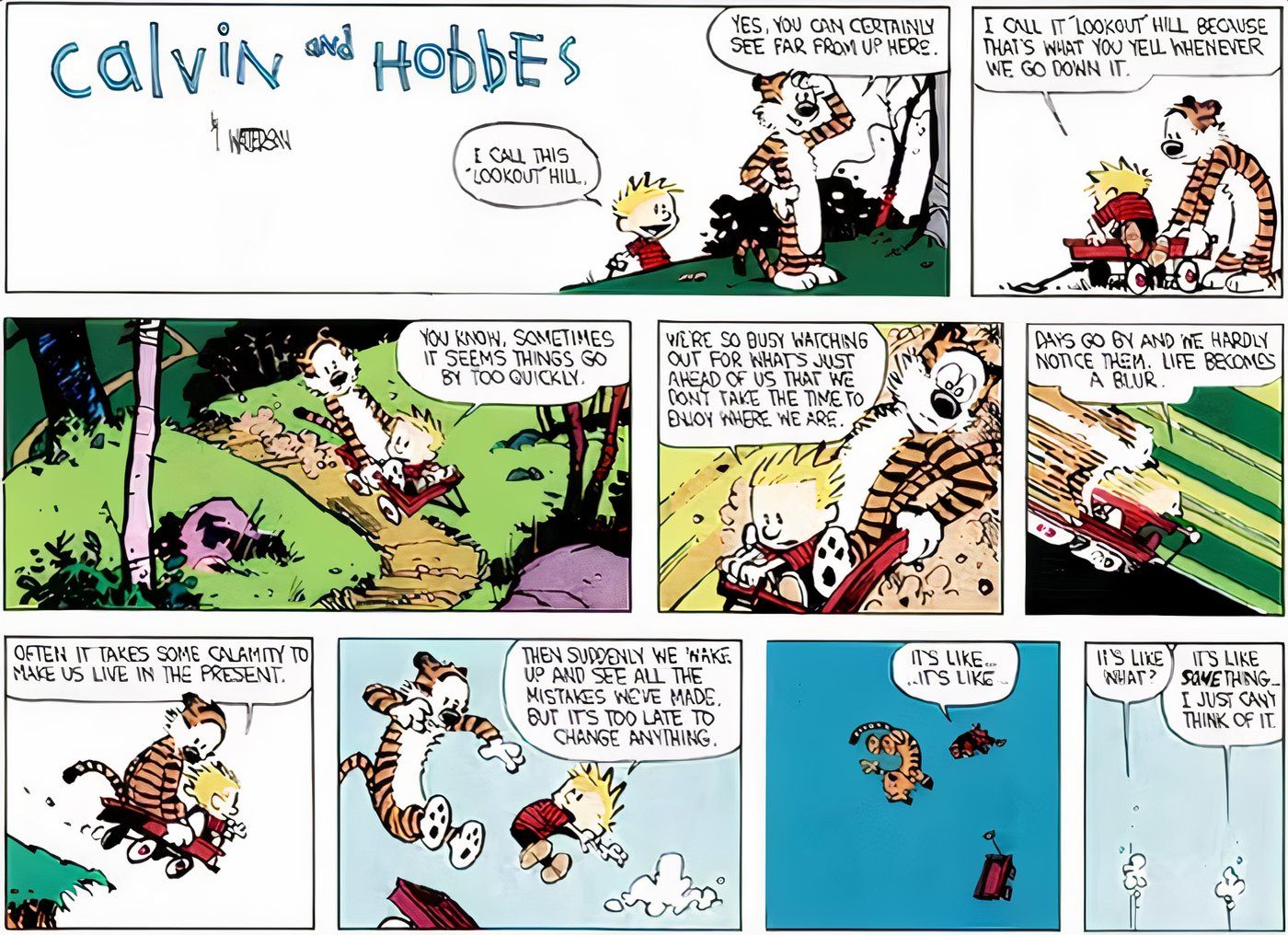 Calvin e Hobbes descendo uma colina em sua carroça.