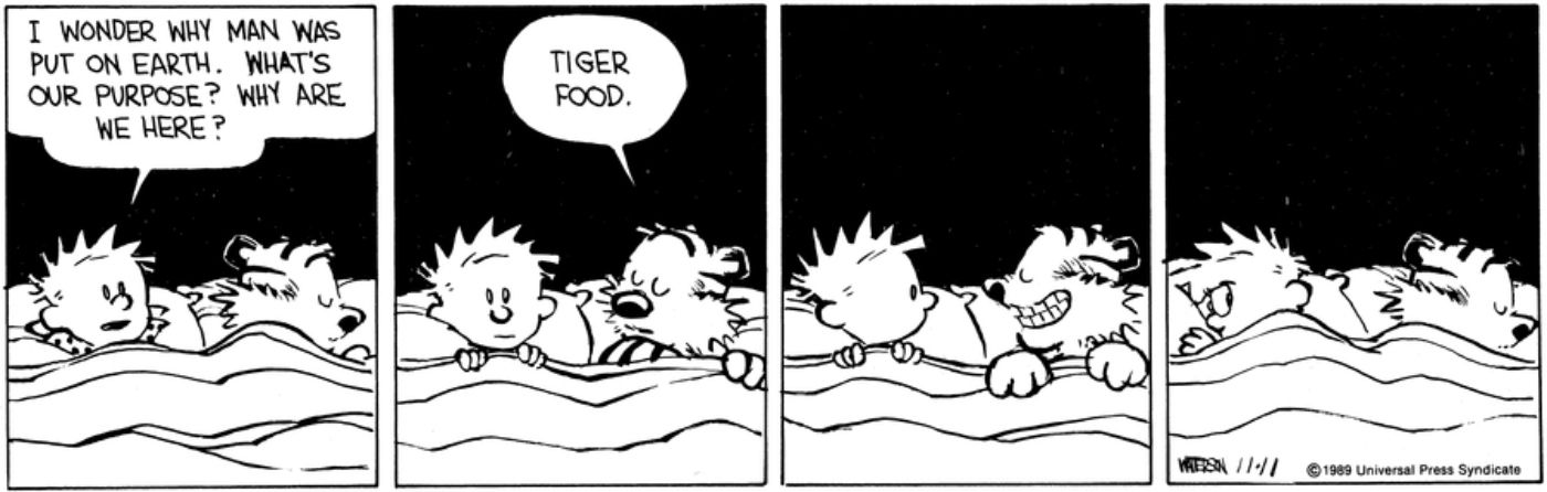 Calvin and Hobbes lying together in bed.