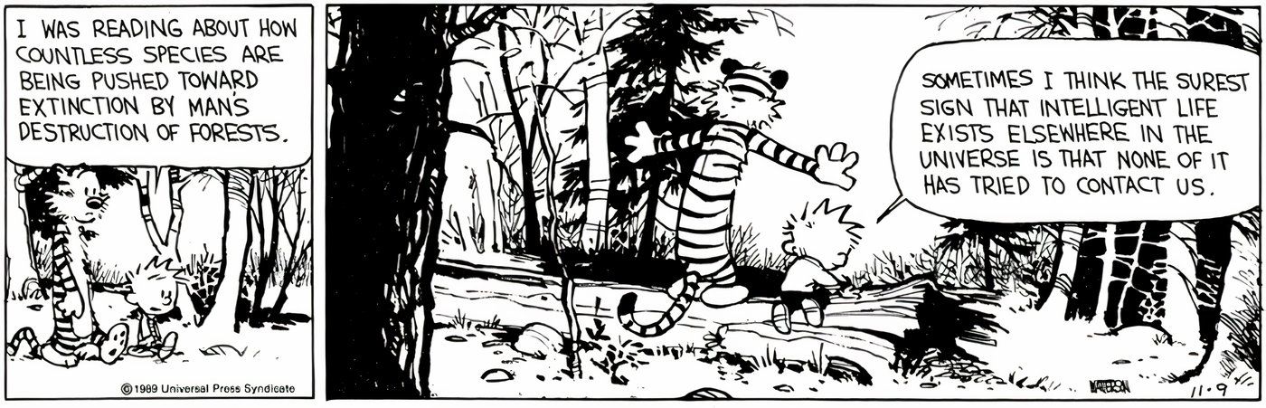 Calvin e Hobbes caminhando pela floresta.