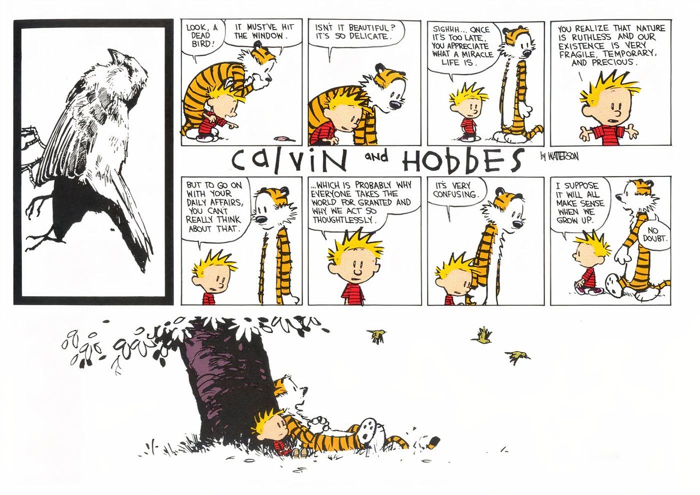 Calvin e Hobbes contemplando a vida depois de ver um pássaro morto.