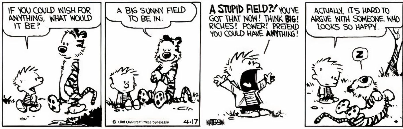 Calvin e Hobbes passeando em um campo ensolarado.