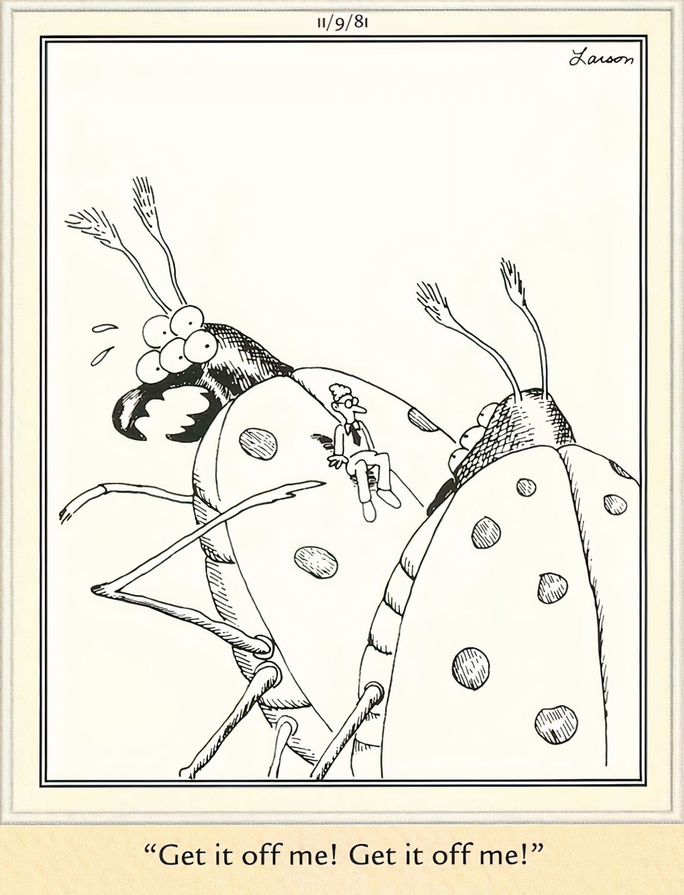 Un insecto que se asusta porque hay un pequeño humano encima de él en The Far Side.